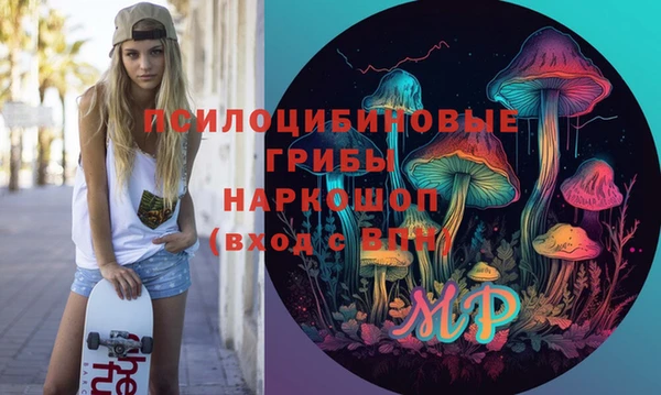 крисы Горнозаводск