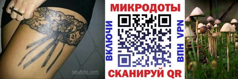 Псилоцибиновые грибы MAGIC MUSHROOMS  блэк спрут онион  Емва 